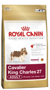 Conseils et alimentation pour le cavalier-king