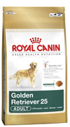 Conseils et alimentation du golden retriever