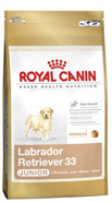 Conseils et alimentation du golden retriever